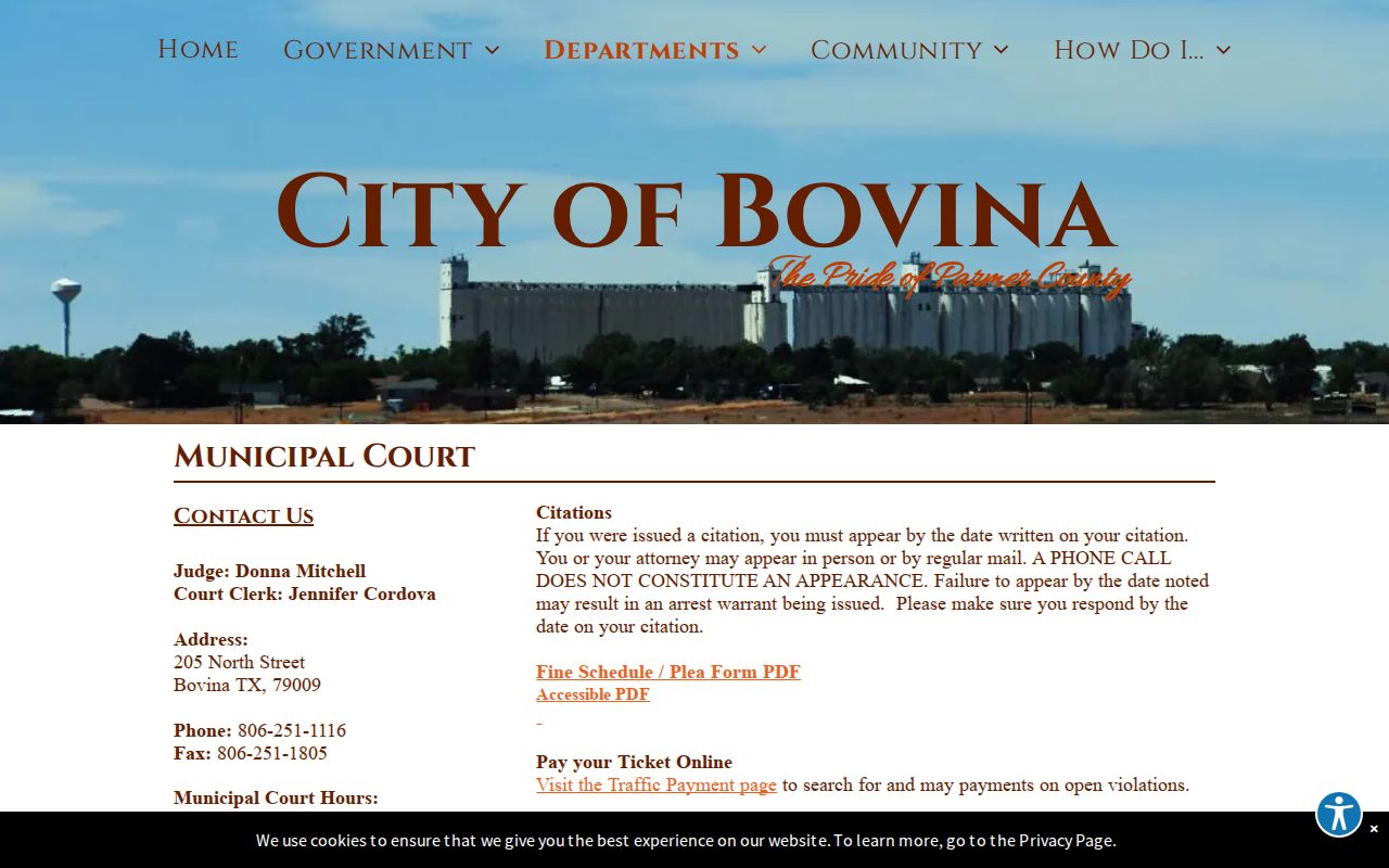 Bovina criminal history municipal court records page
